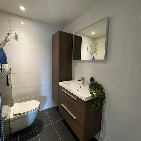 Hanendorper Hoeve - Gastenhuisje Bij Monumentale Boerderij