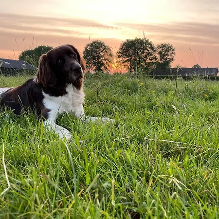 Hanendorper Hoeve - Gastenhuisje Bij Monumentale Boerderij *