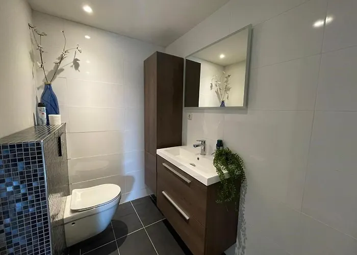 Hanendorper Hoeve - Gastenhuisje Bij Monumentale Boerderij