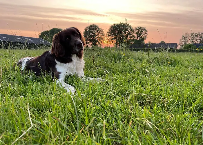 Hanendorper Hoeve - Gastenhuisje Bij Monumentale Boerderij *