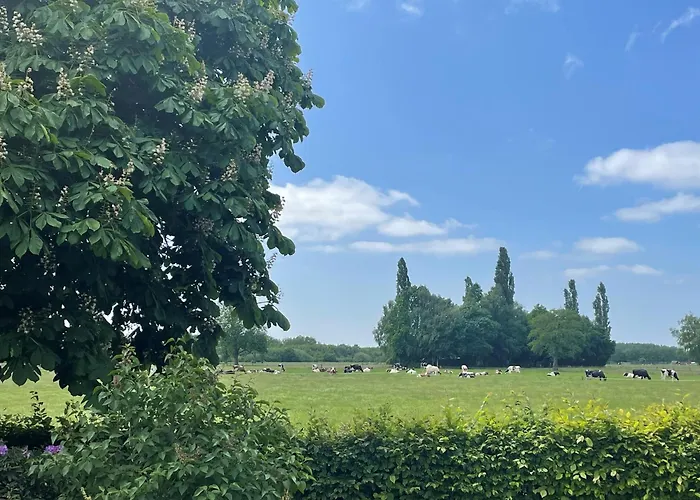 아파트 Hanendorper Hoeve - Gastenhuisje Bij Monumentale Boerderij 엠스트